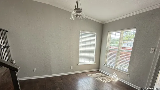 115 CONWAY DR San Antonio, TX 78209