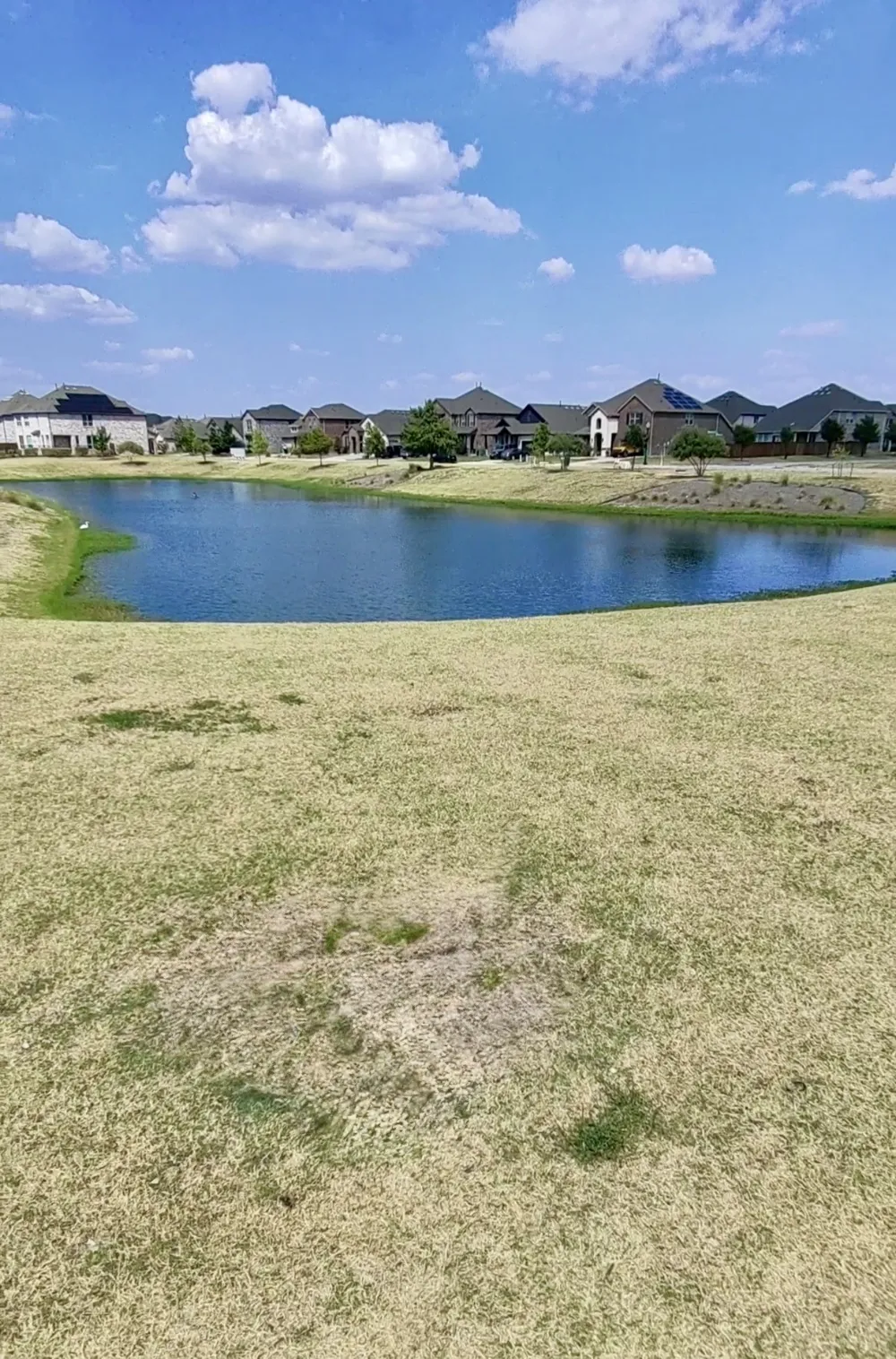 1420 Stoneleigh Place Aubrey, TX 76227