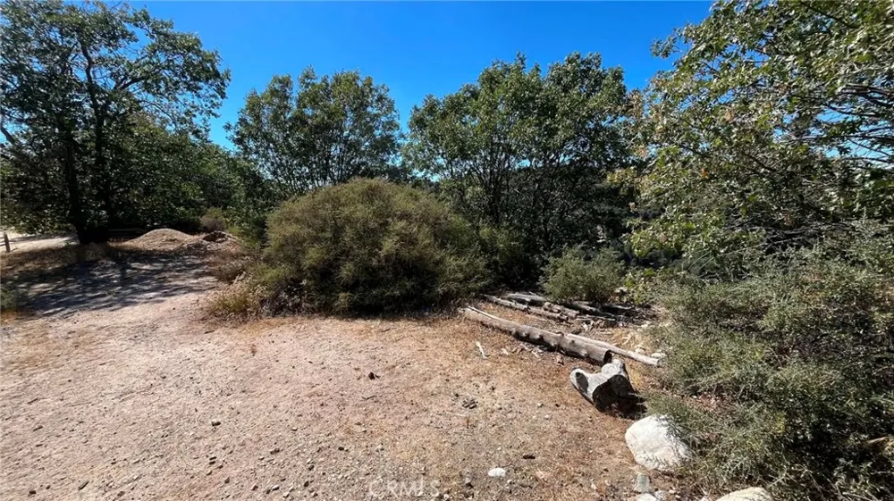 718 Cypress Road Cedar Glen, CA 92321