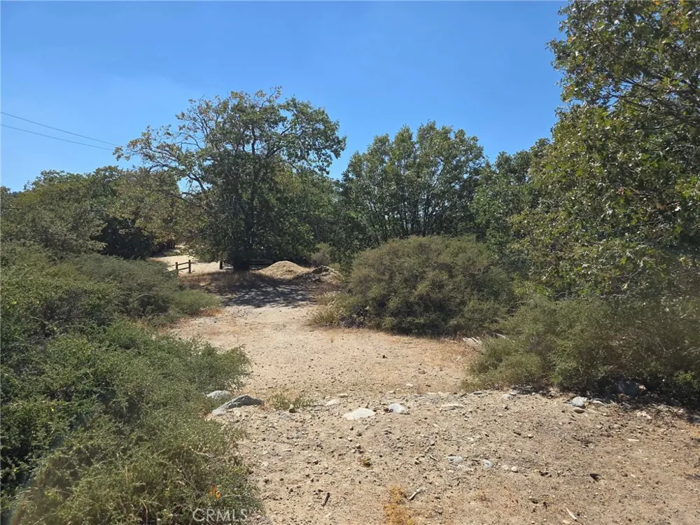 718 Cypress Road Cedar Glen, CA 92321
