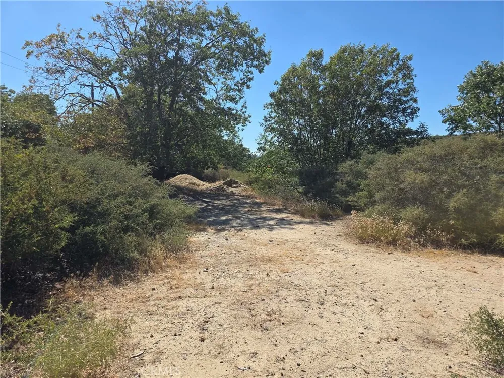 718 Cypress Road Cedar Glen, CA 92321