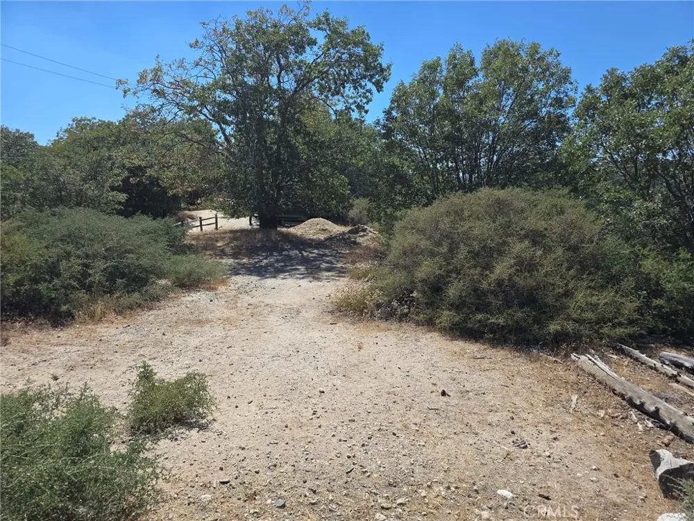 718 Cypress Road Cedar Glen, CA 92321