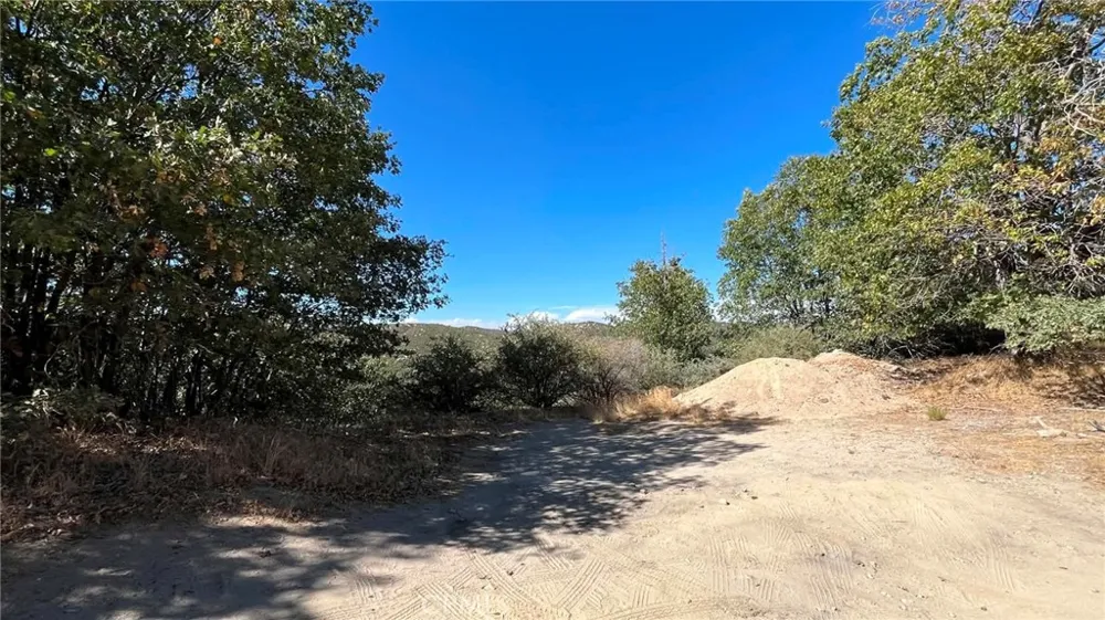 718 Cypress Road Cedar Glen, CA 92321