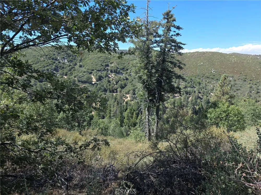 718 Cypress Road Cedar Glen, CA 92321