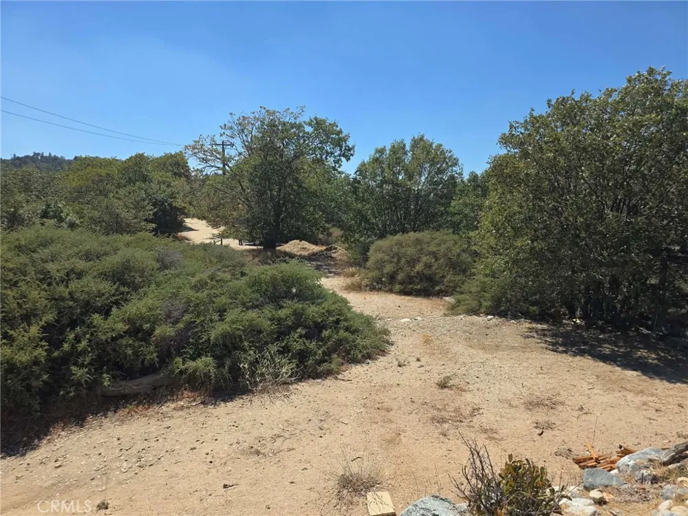 718 Cypress Road Cedar Glen, CA 92321