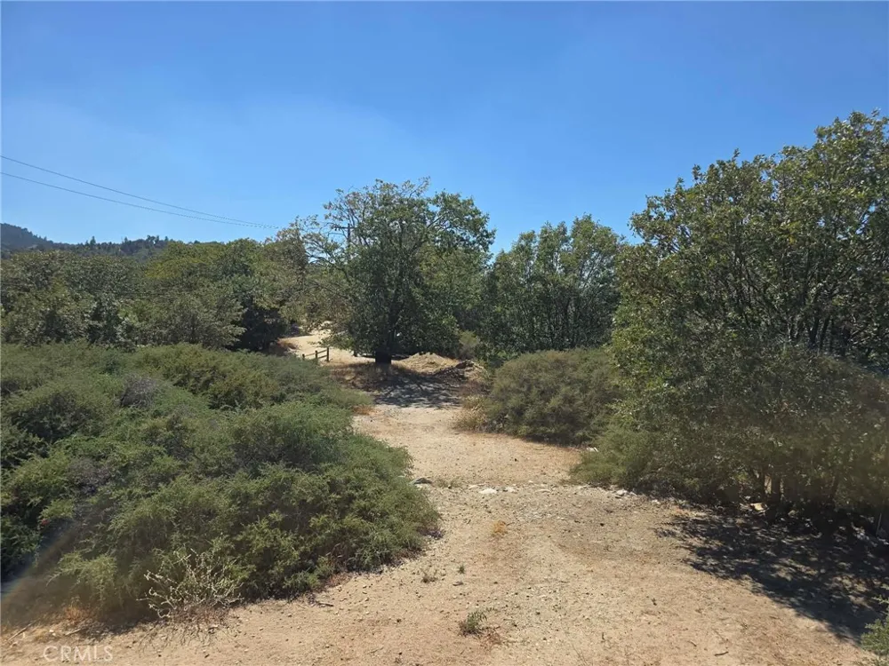 718 Cypress Road Cedar Glen, CA 92321