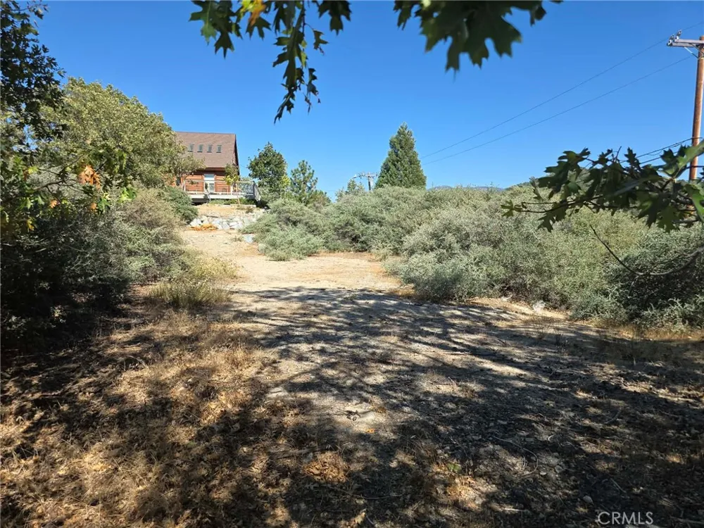 718 Cypress Road Cedar Glen, CA 92321