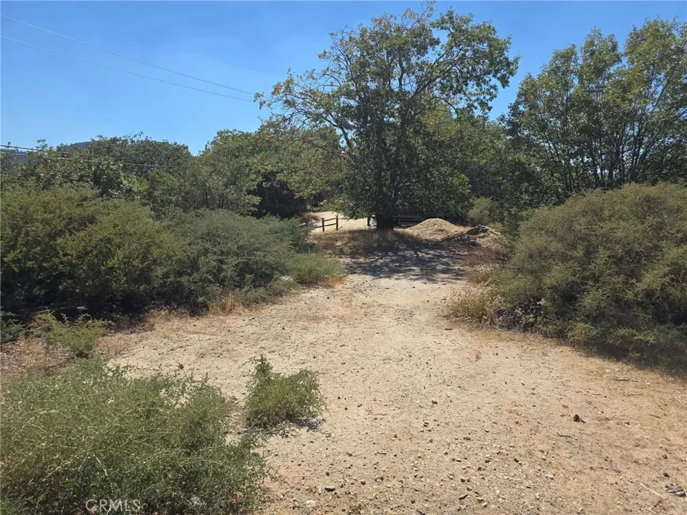 718 Cypress Road Cedar Glen, CA 92321