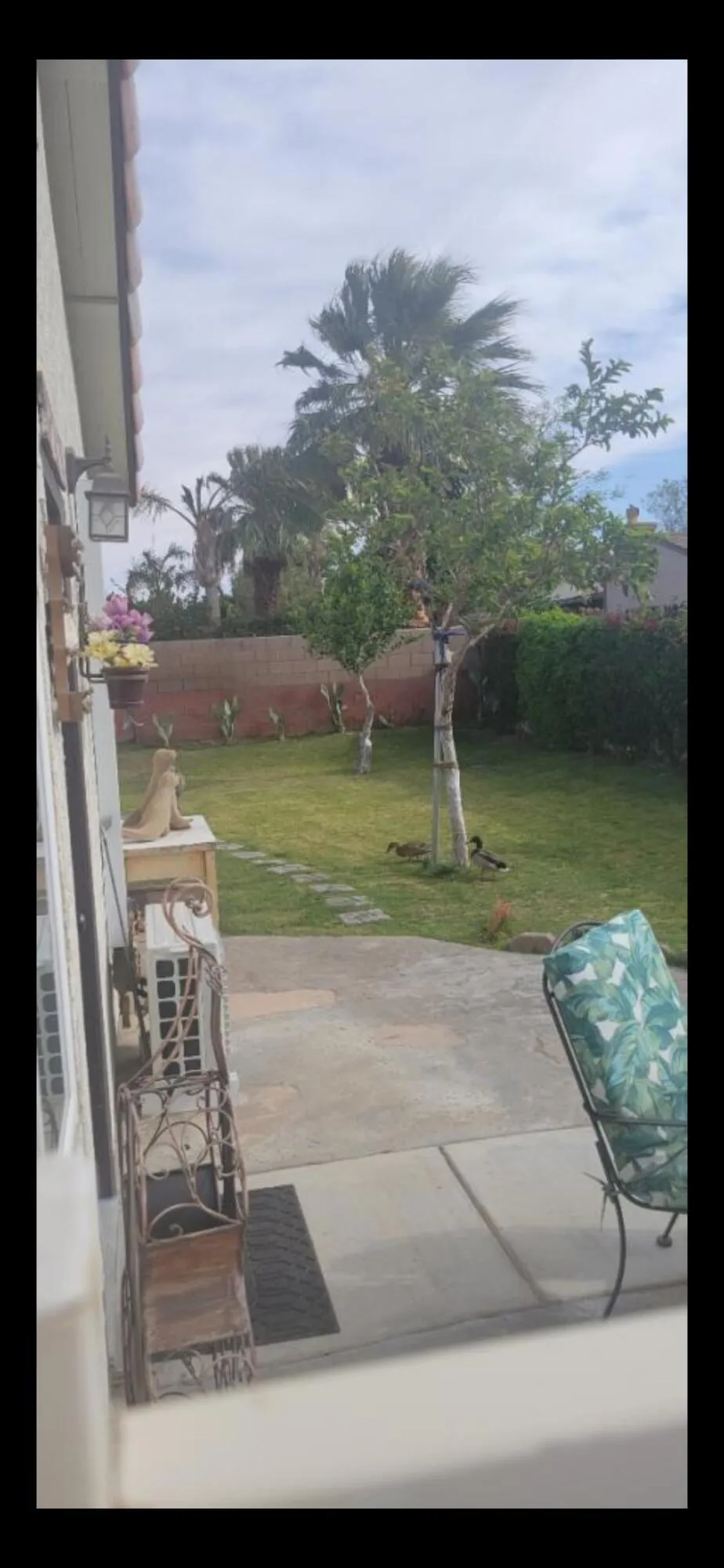 31478 Robert Road Thousand Palms, CA 92276