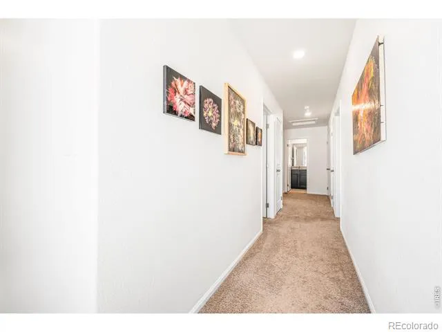 7243 Aspen Brook Avenue Frederick, CO 80530