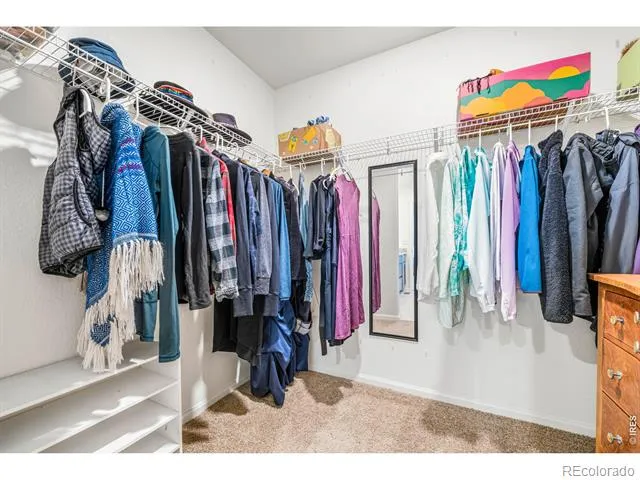 7243 Aspen Brook Avenue Frederick, CO 80530