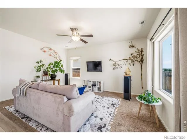7243 Aspen Brook Avenue Frederick, CO 80530