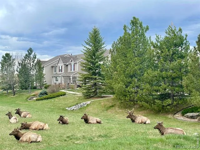 2940 Champion Circle Loveland, CO 80538