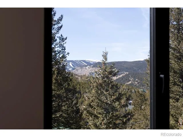 103 W Wildewood Drive Nederland, CO 80466