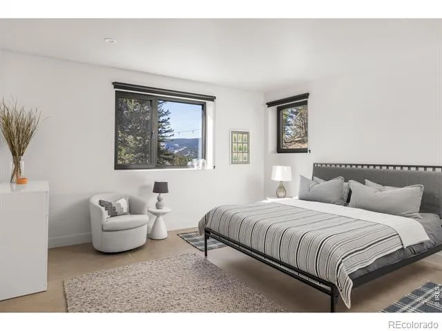 103 W Wildewood Drive Nederland, CO 80466