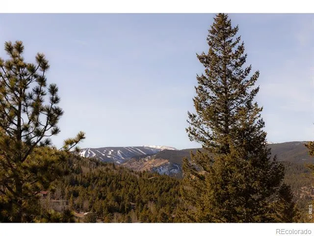 103 W Wildewood Drive Nederland, CO 80466