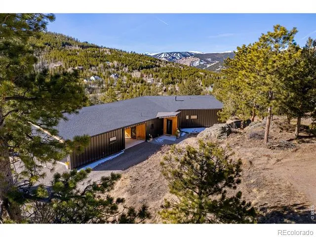103 W Wildewood Drive Nederland, CO 80466