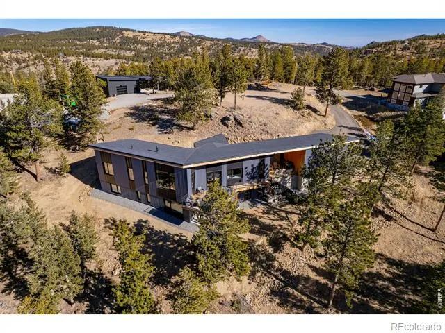 103 W Wildewood Drive Nederland, CO 80466