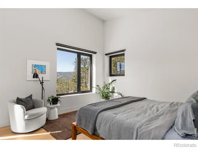 103 W Wildewood Drive Nederland, CO 80466
