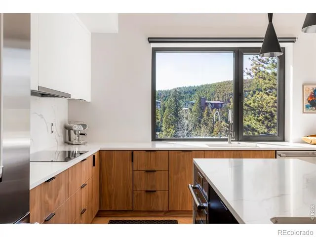 103 W Wildewood Drive Nederland, CO 80466