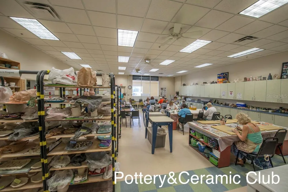 2417 LOCKSLEY STREET #229 Sun City Center, FL 33573
