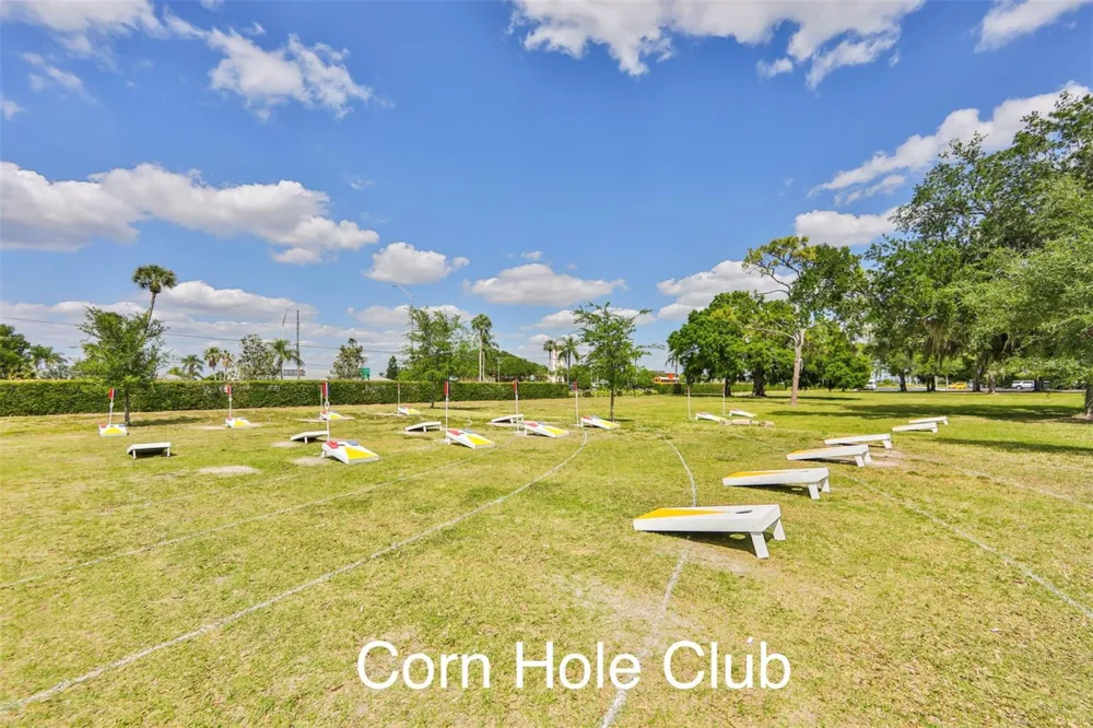 2417 LOCKSLEY STREET #229 Sun City Center, FL 33573