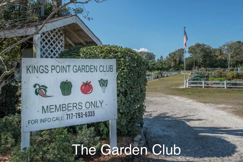 2417 LOCKSLEY STREET #229 Sun City Center, FL 33573