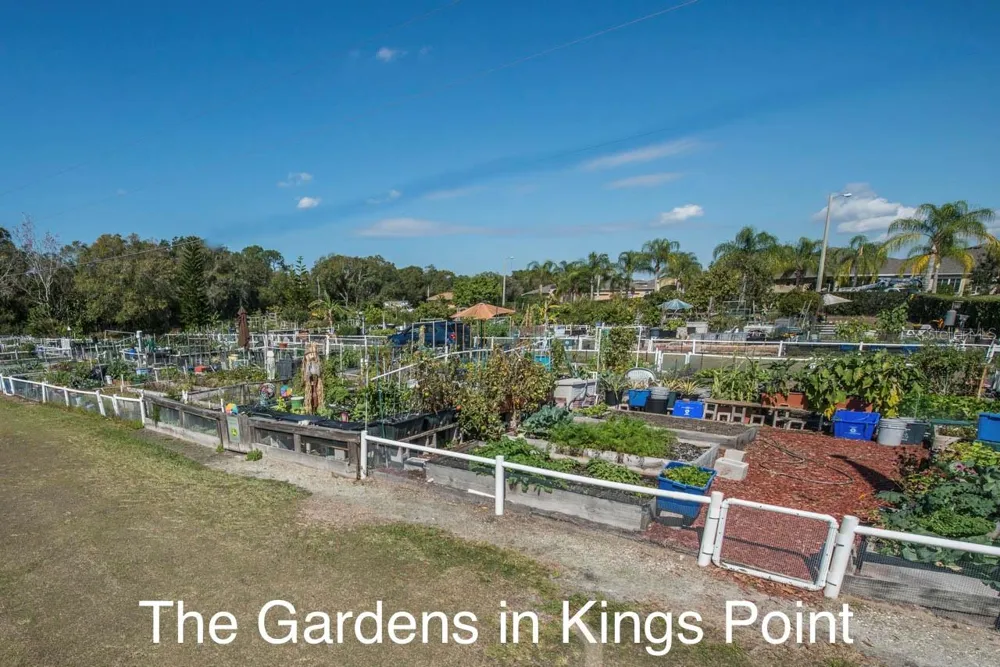 2292 SIFIELD GREENS WAY #59 Sun City Center, FL 33573