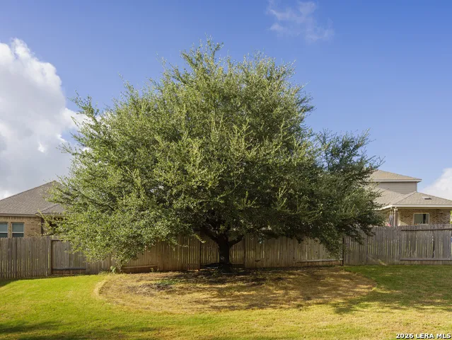 2033 EGRET AVE New Braunfels, TX 78132