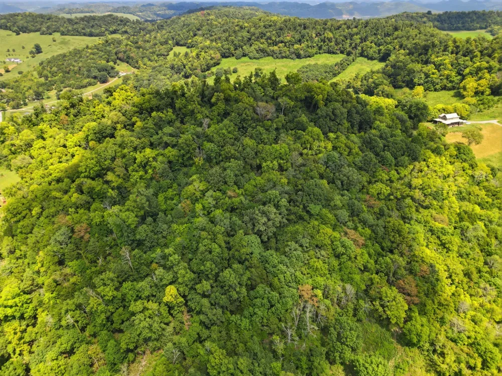0 Hartsville Pike Carthage, TN 37030