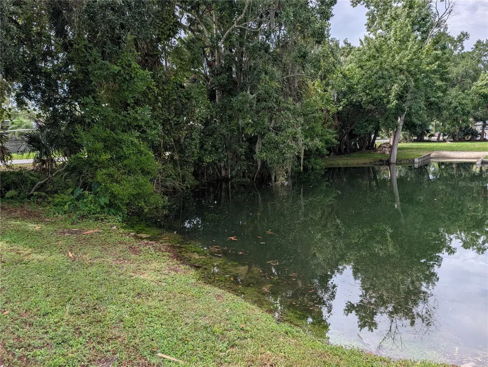 SEBRING STREET Weeki Wachee, FL 34607