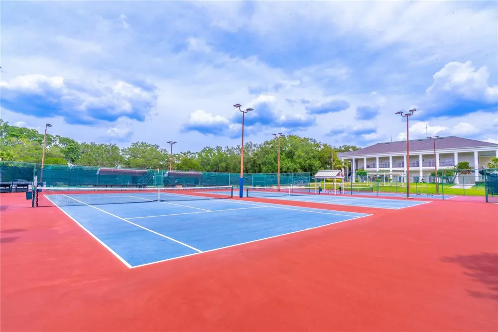 3741 WOODLEAF COURT Leesburg, FL 34748