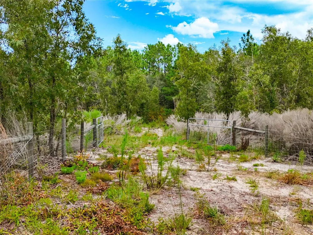 56TH STREET Bronson, FL 32621