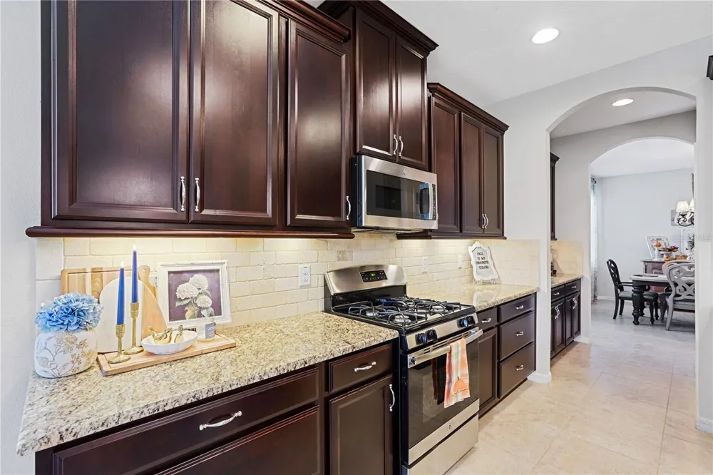 17527 BRIGHT WHEAT DRIVE Lithia, FL 33547