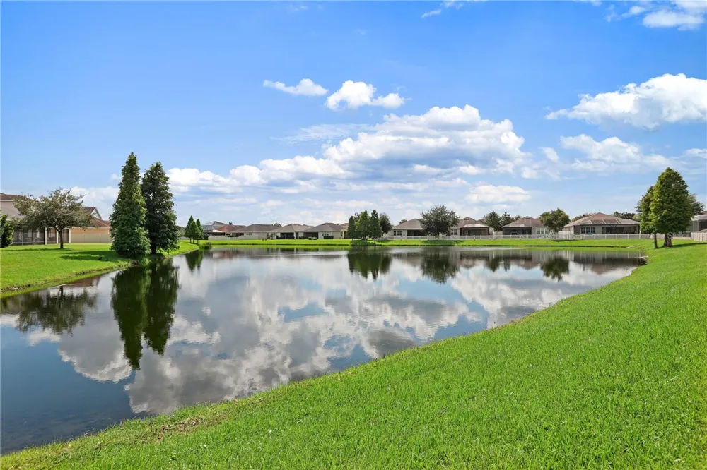 17527 BRIGHT WHEAT DRIVE Lithia, FL 33547