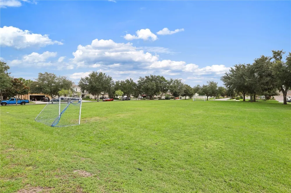 17527 BRIGHT WHEAT DRIVE Lithia, FL 33547