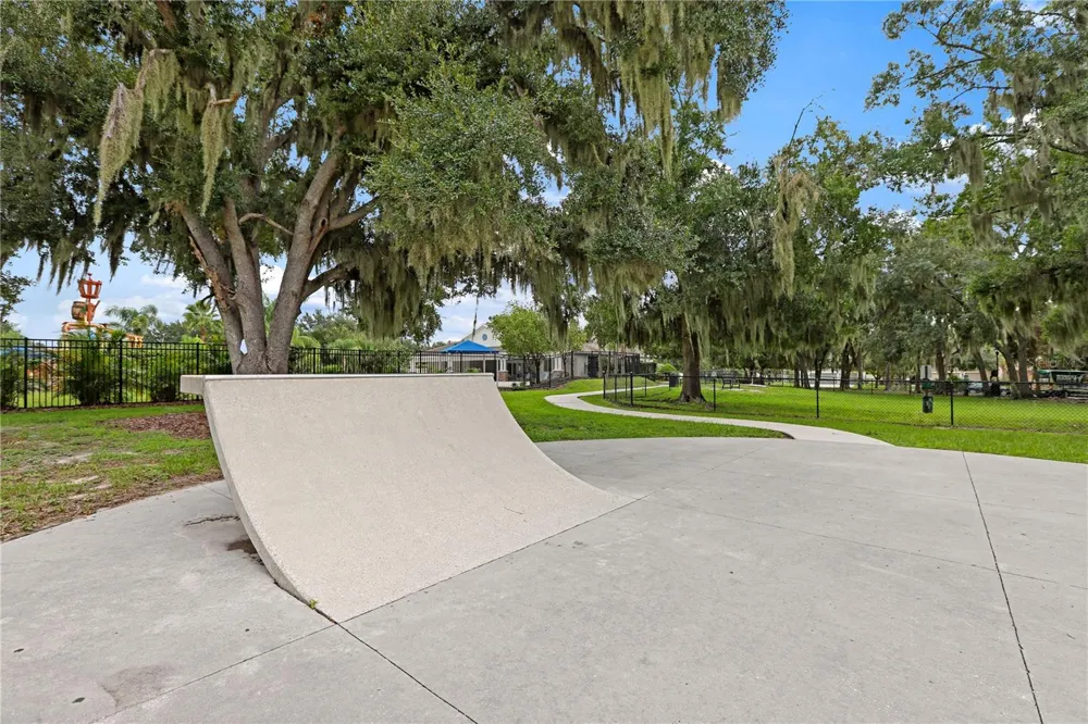 17527 BRIGHT WHEAT DRIVE Lithia, FL 33547