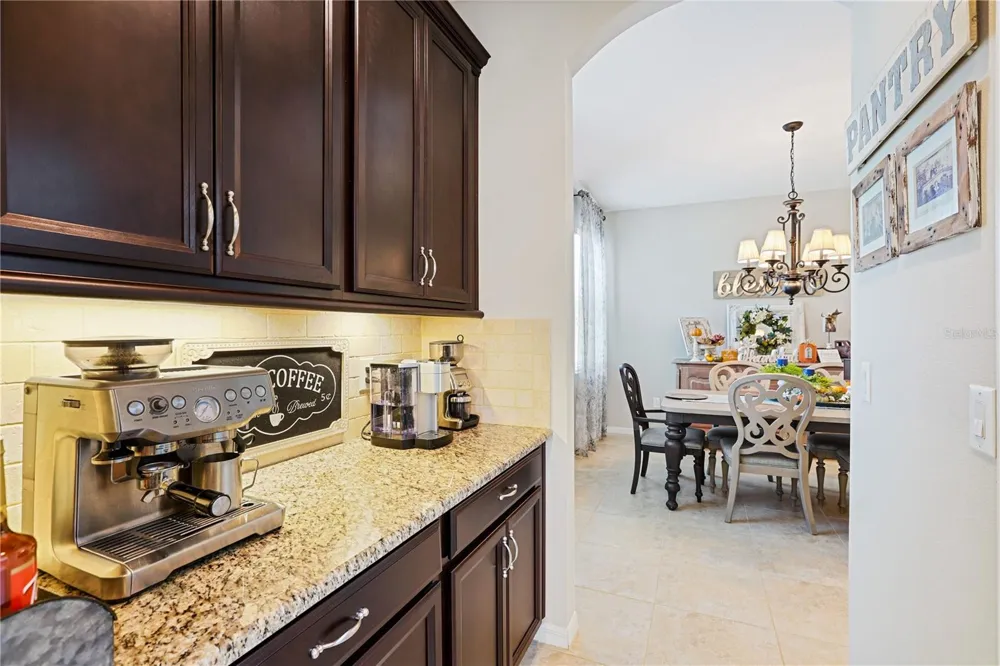 17527 BRIGHT WHEAT DRIVE Lithia, FL 33547