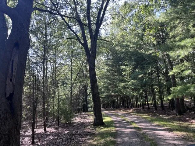 2235 Siuda Road Manistee Township, MI 49660