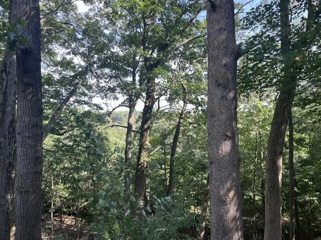 2235 Siuda Road Manistee Township, MI 49660