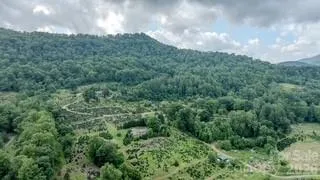 455 Avery Lane Newland, NC 28657