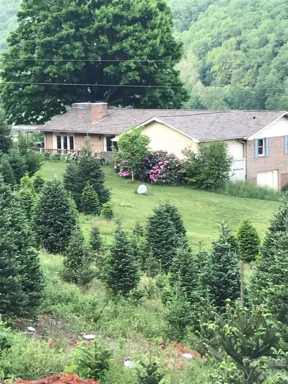 455 Avery Lane Newland, NC 28657