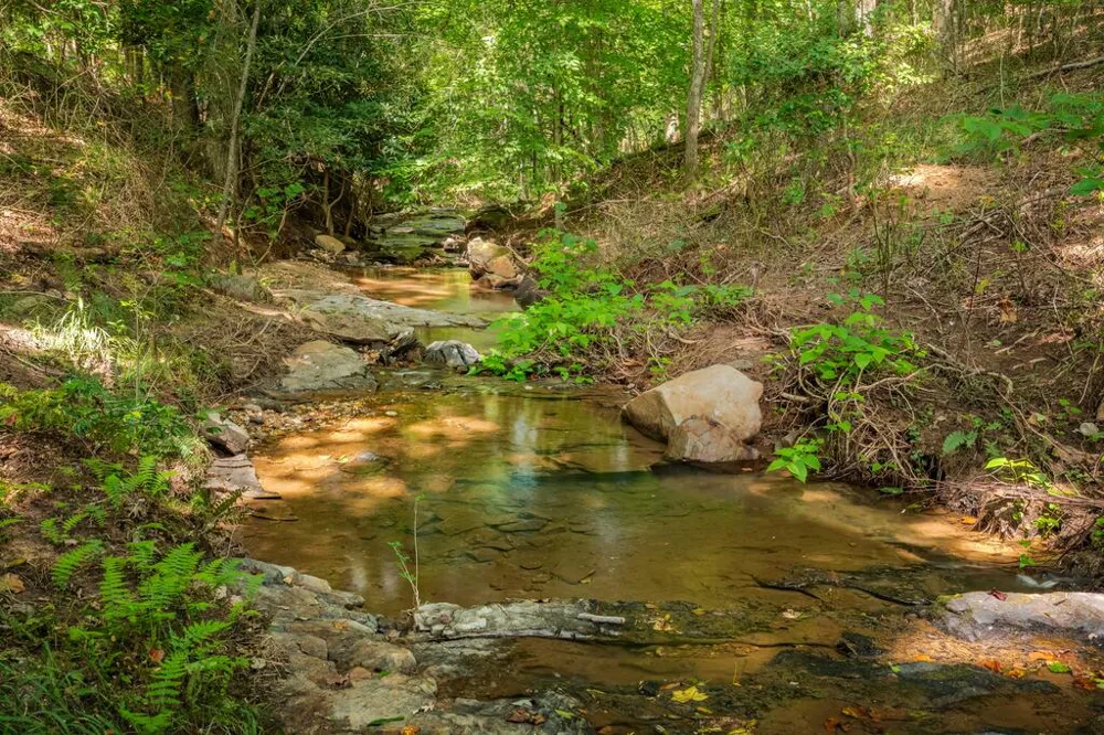 120 Brookhaven Trail Blue Ridge, GA 30513
