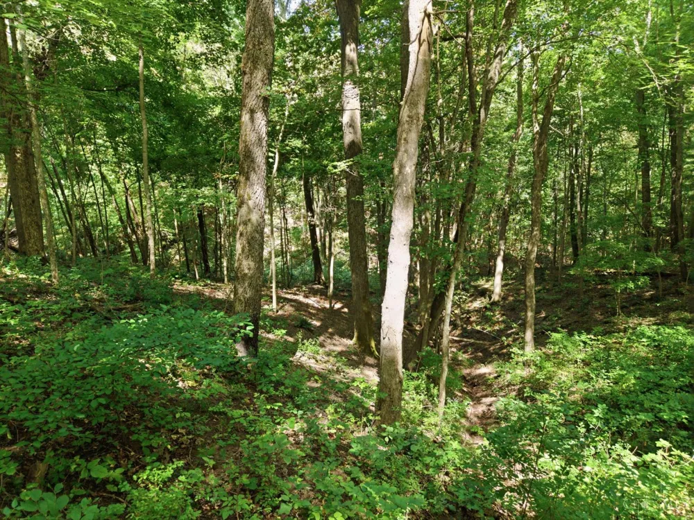 3151 Pond Run Road Pierce, OH 45157