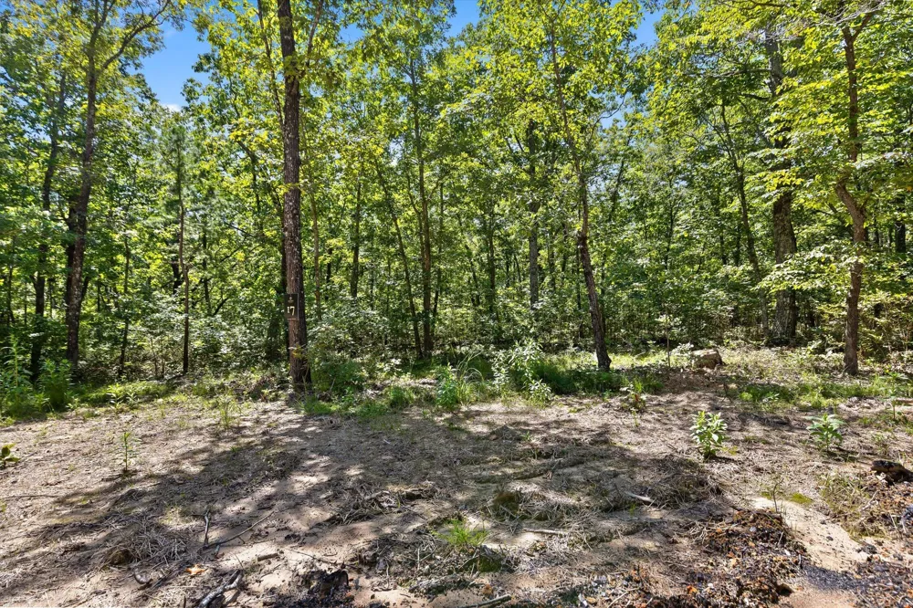 1537 Vulcan Road Rising Fawn, GA 30738