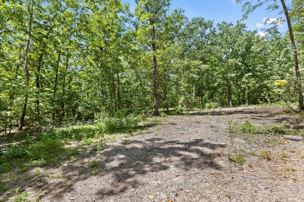 1537 Vulcan Road Rising Fawn, GA 30738
