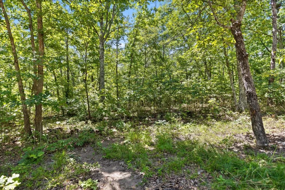1537 Vulcan Road Rising Fawn, GA 30738