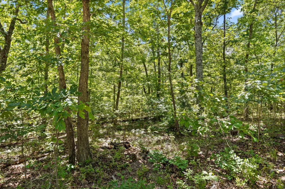 1537 Vulcan Road Rising Fawn, GA 30738