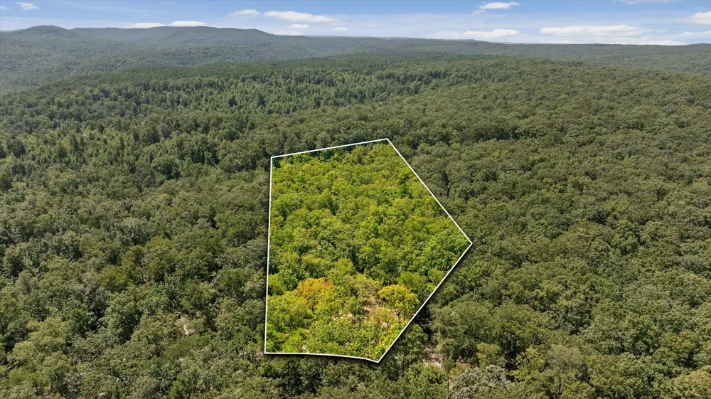 1537 Vulcan Road Rising Fawn, GA 30738