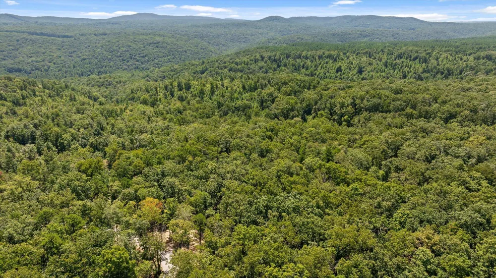 1537 Vulcan Road Rising Fawn, GA 30738